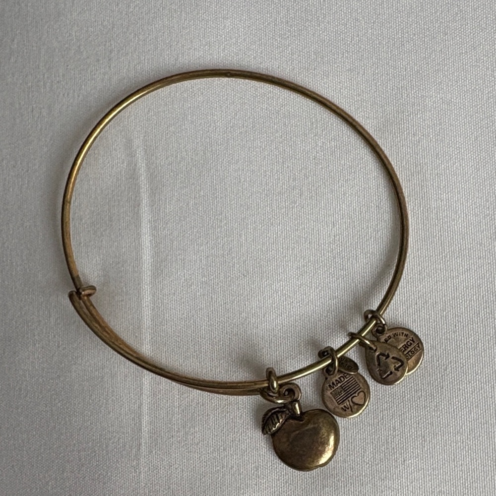 Alex and Ani Apple Charm Bracelet